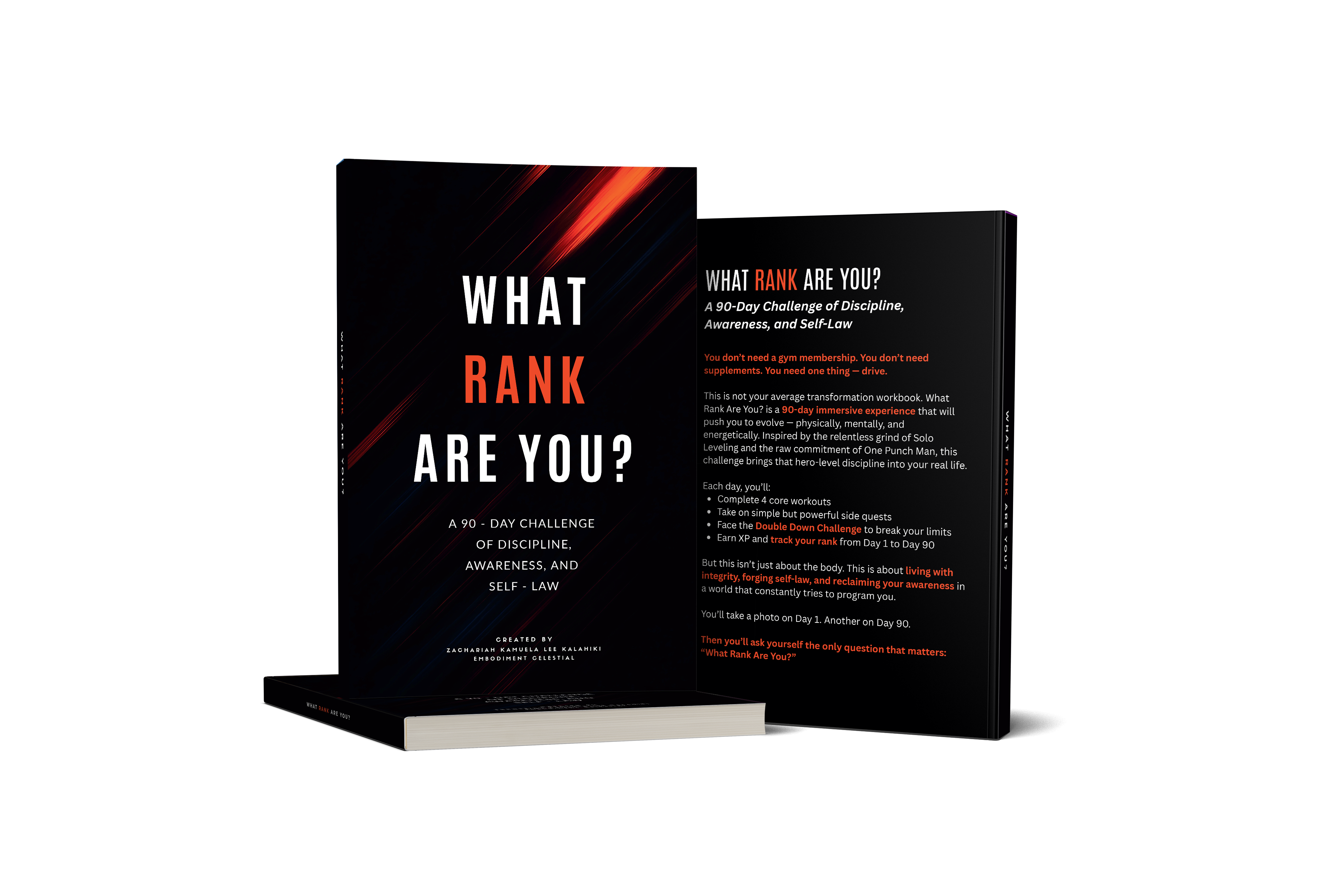 What Rank Are You? Work Book