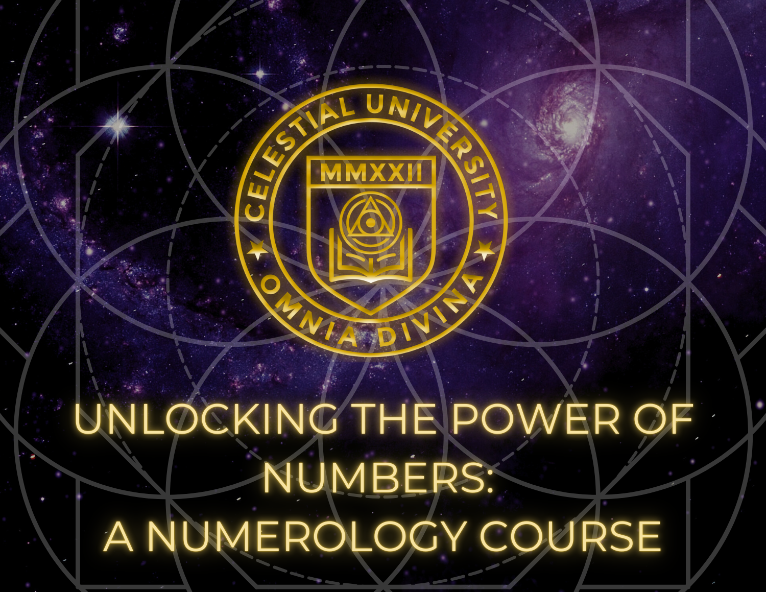 Unlocking the Power of Numbers